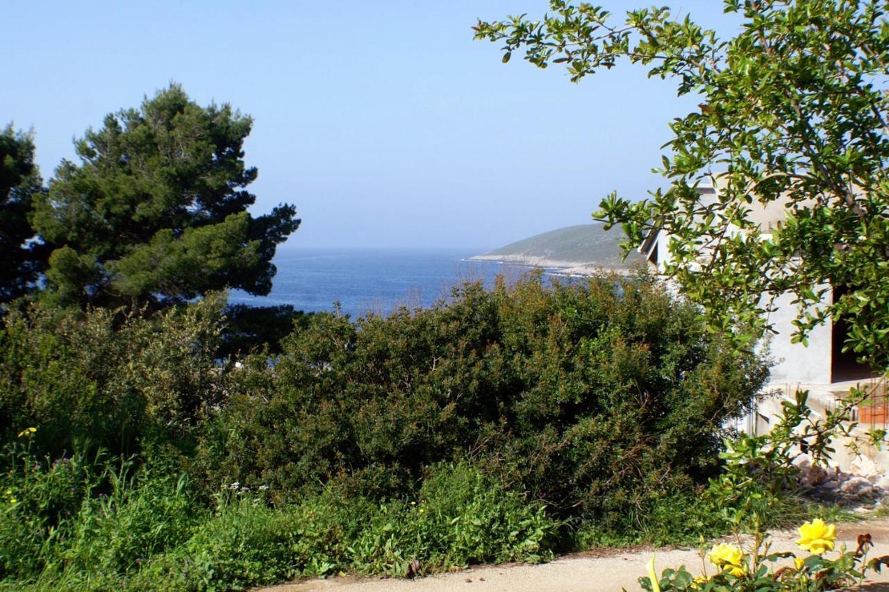 Apartments With A Parking Space Zavalatica, Korcula - 4453 외부 사진